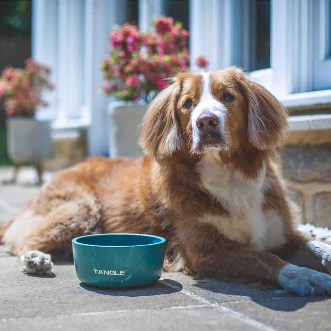 TWO Bowls - Save £5