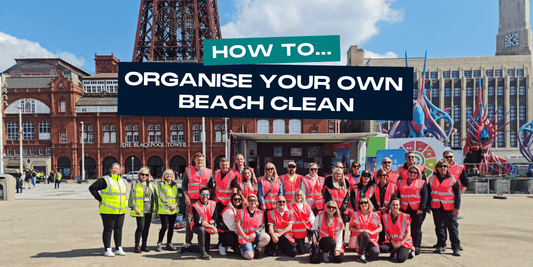 How to Organise A Beach Clean