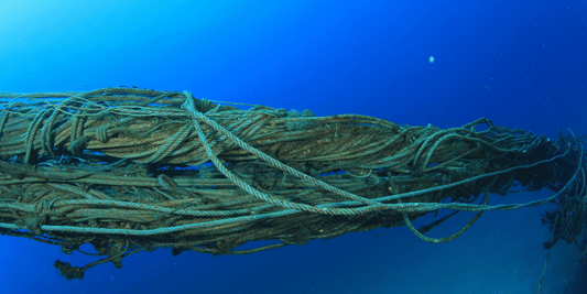 Ghost Nets: The Hidden Threats to Our Oceans