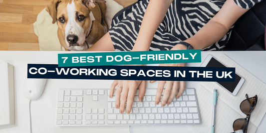 7 Best Dog-Friendly Co-Working Spaces in the UK