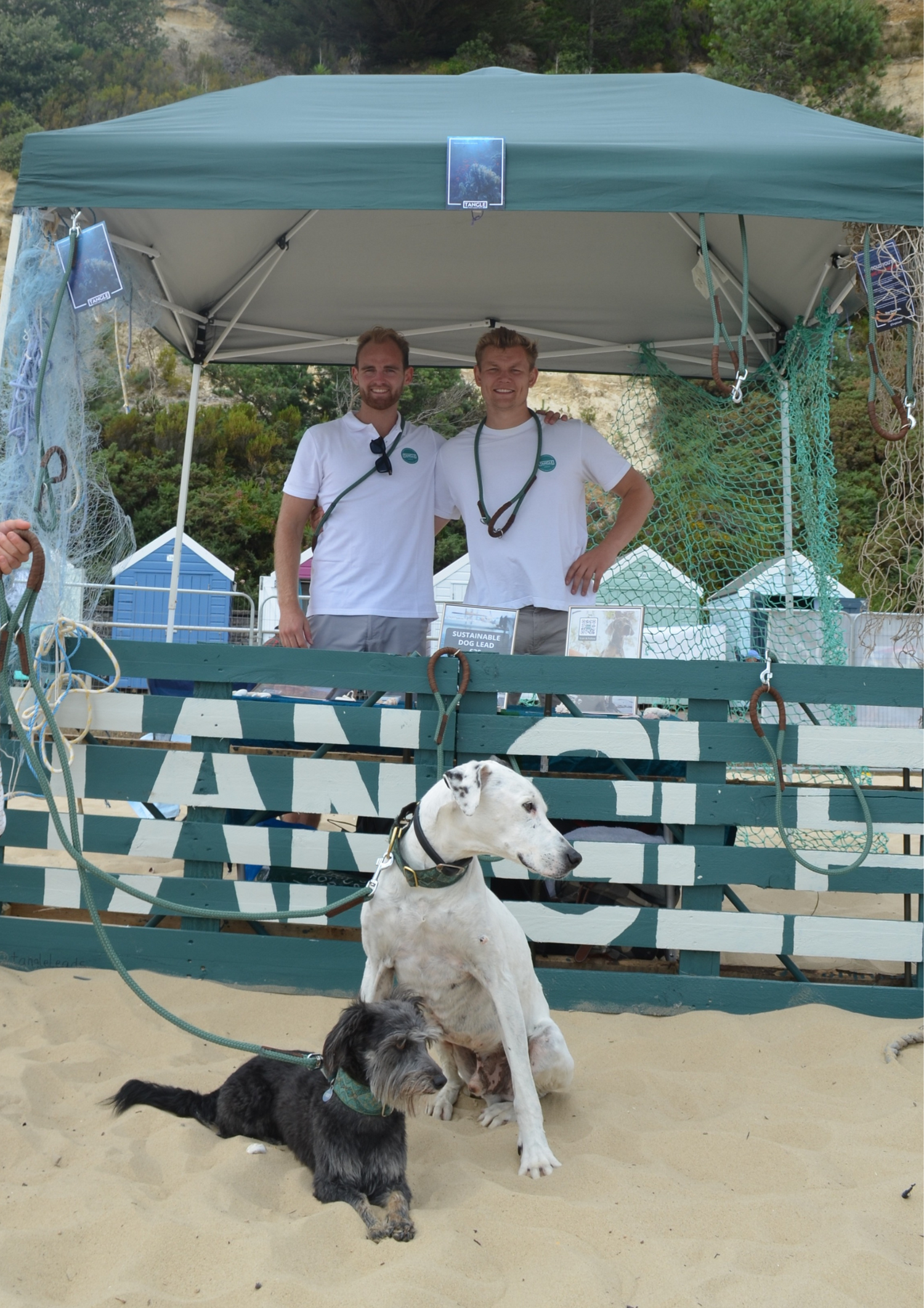 Photo of Sam and Xavier on the beach with two dogs and a sign of the Tangle company name