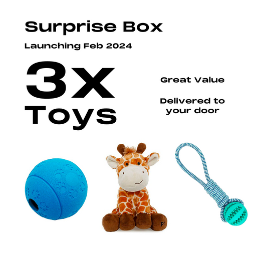 Exclusive Toy Box
