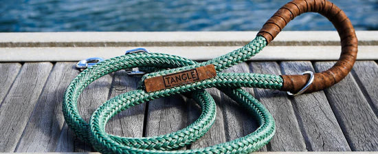 Banner image of a tangle dog lead on a dock